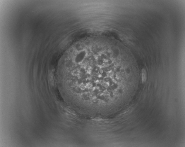 X0000063461059200602031828