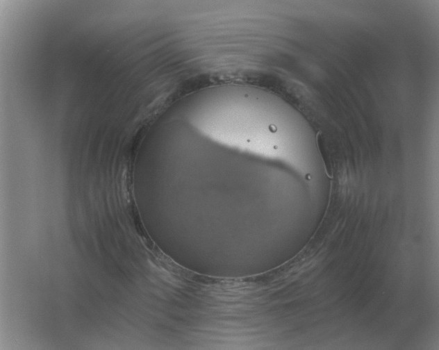 X0000063461060200602031828