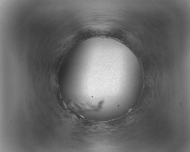 X0000063461061200602031828