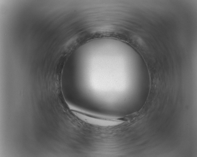 X0000063461062200602031828