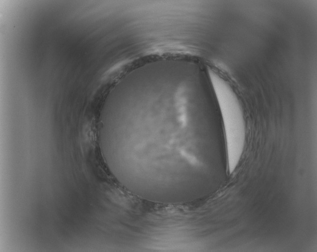 X0000063461063200602031828