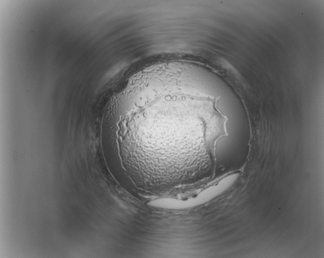 X0000063461064200602031828