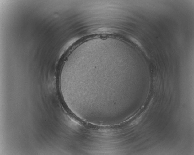 X0000063461066200602031828