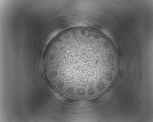 X0000063461067200602031828