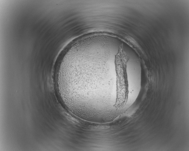 X0000063461068200602031828