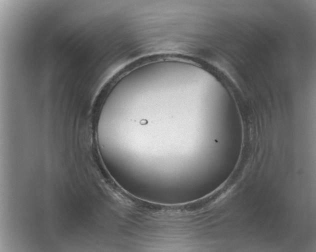 X0000063461069200602031828