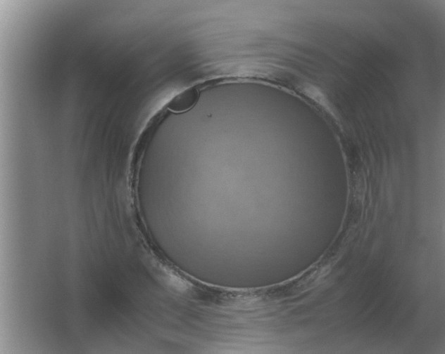 X0000063461071200602031828