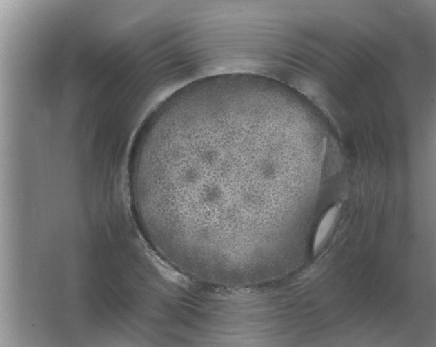 X0000063461072200602031828