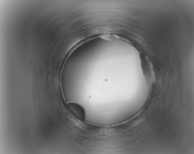 X0000063461073200602031828