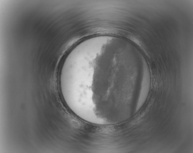 X0000063461074200602031828