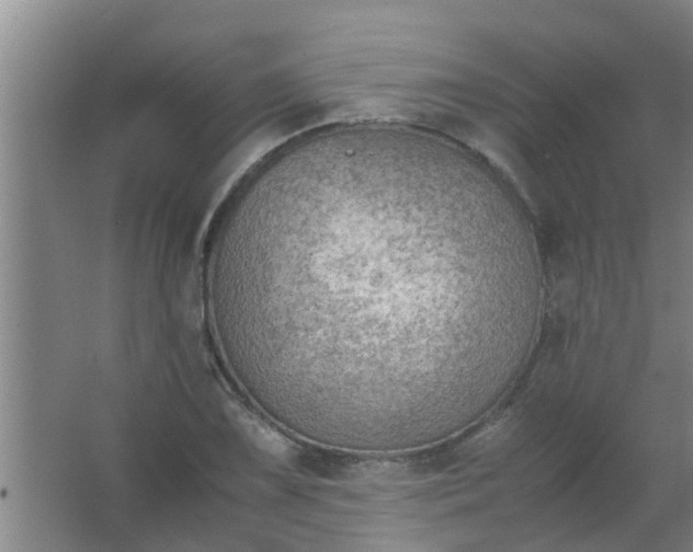 X0000063461075200602031828