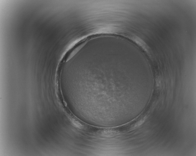 X0000063461077200602031828