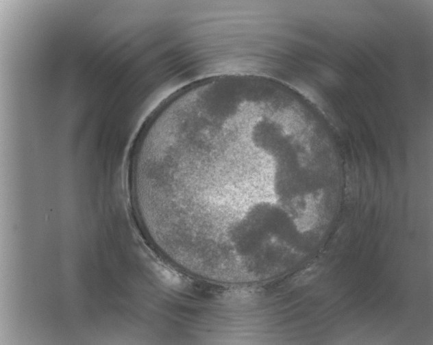 X0000063461078200602031828