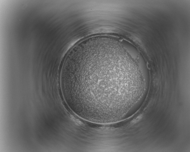 X0000063461081200602031828