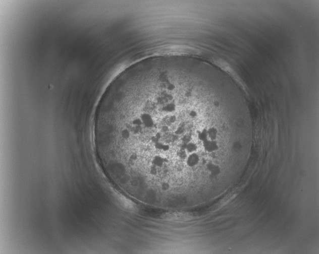 X0000063461083200602031827