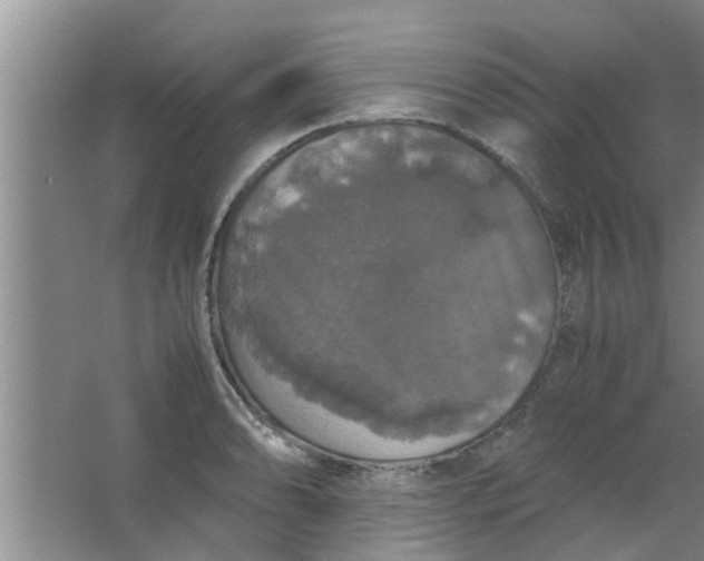 X0000063461086200602031827