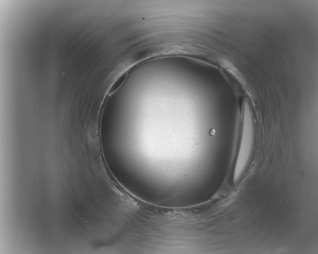 X0000063461089200602031827