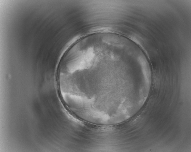 X0000063461090200602031827