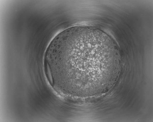 X0000063461091200602031827