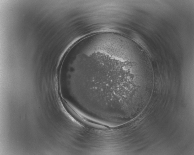 X0000063461092200602031827