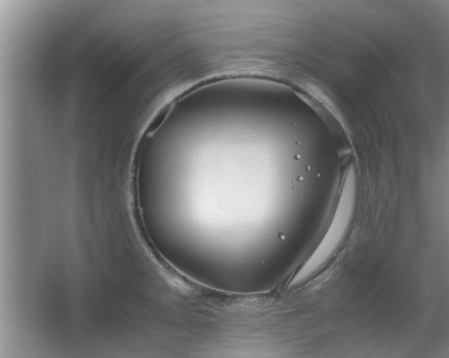 X0000063461093200602031827