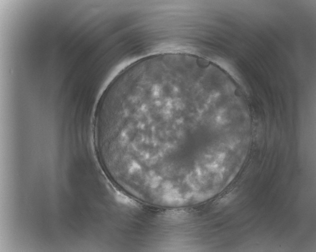 X0000063461094200602031827