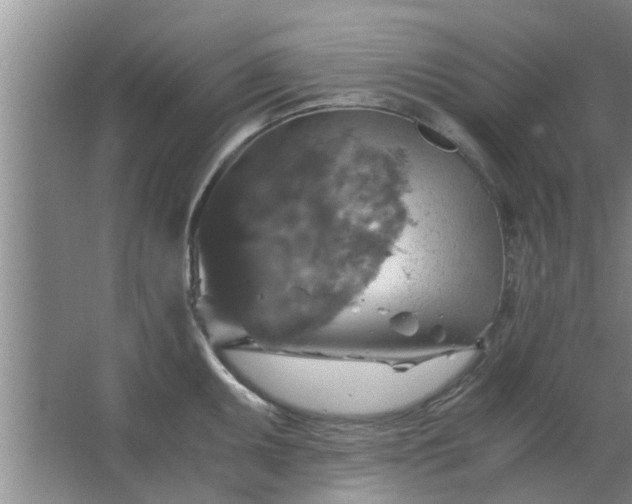 X0000063461095200602031827