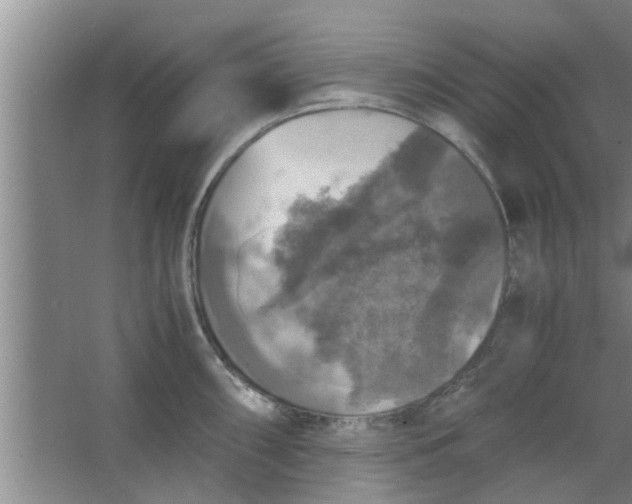 X0000063461098200602031827