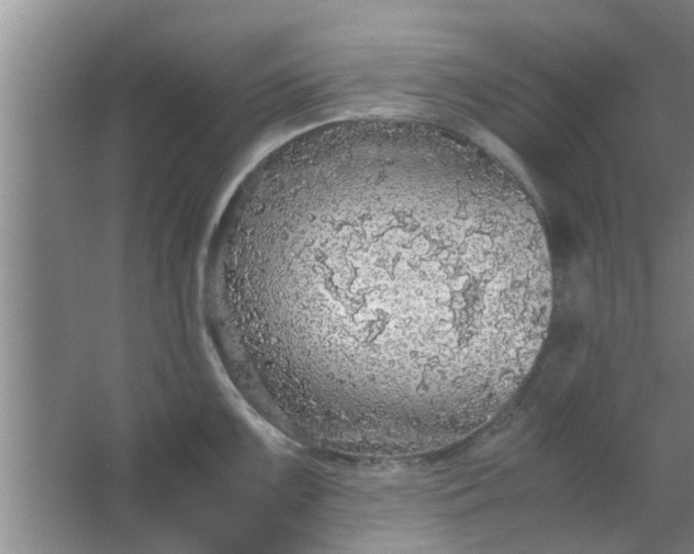 X0000063461099200602031827