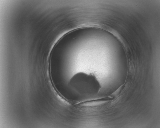 X0000063461102200602031827