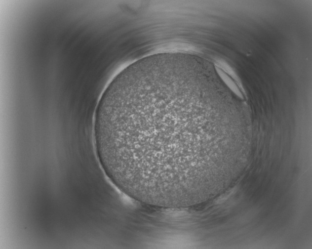 X0000063461103200602031827