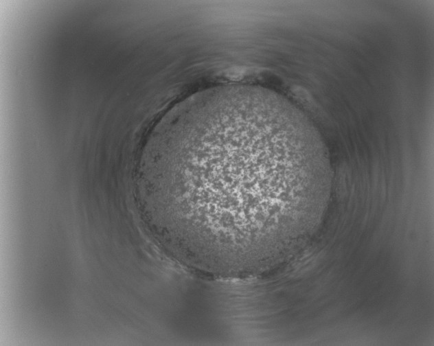 X0000063461105200602031826