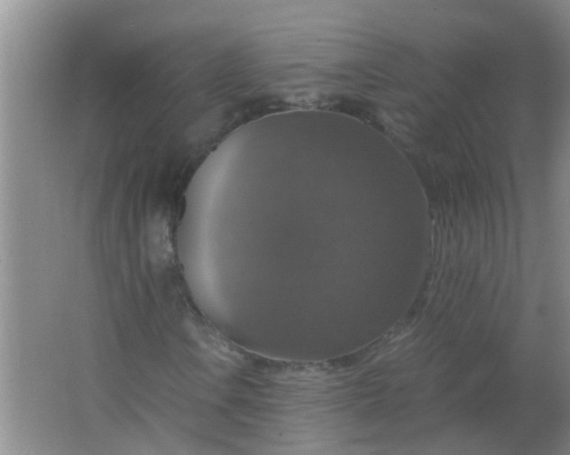 X0000063461106200602031826