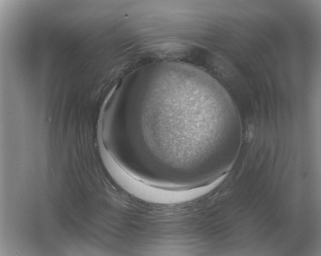 X0000063461108200602031826