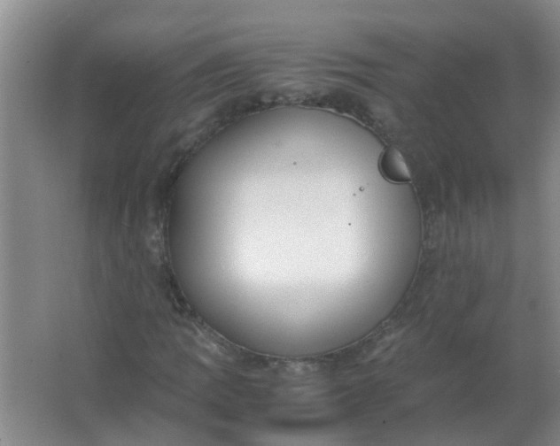 X0000063461109200602031826