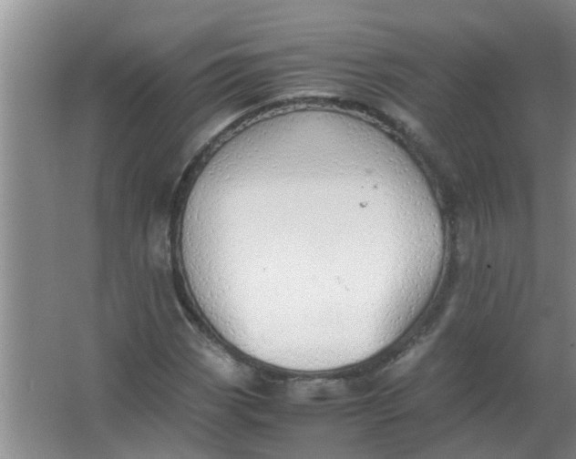 X0000063461113200602031826