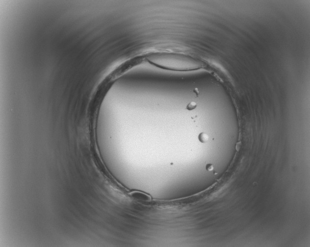 X0000063461114200602031826