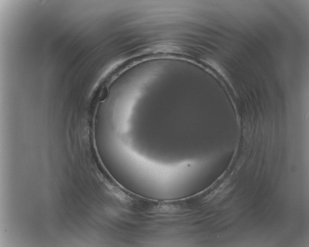 X0000063461115200602031826