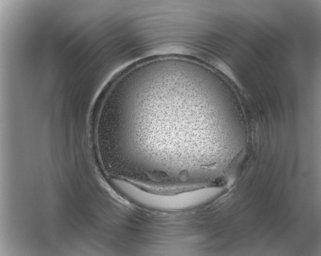 X0000063461116200602031827