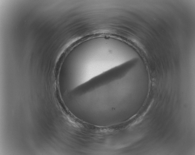 X0000063461117200602031827