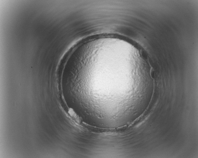 X0000063461118200602031827