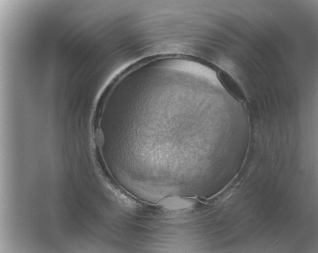 X0000063461120200602031827