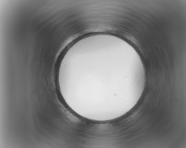 X0000063461122200602031827