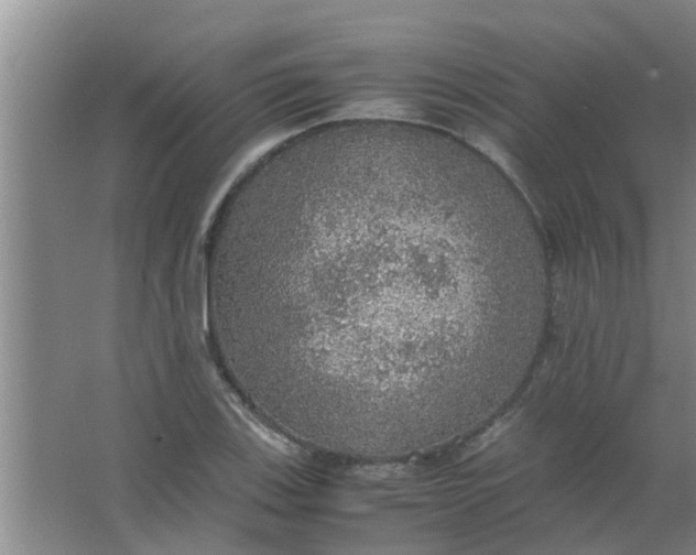 X0000063461123200602031827