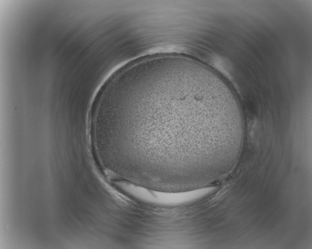 X0000063461124200602031827