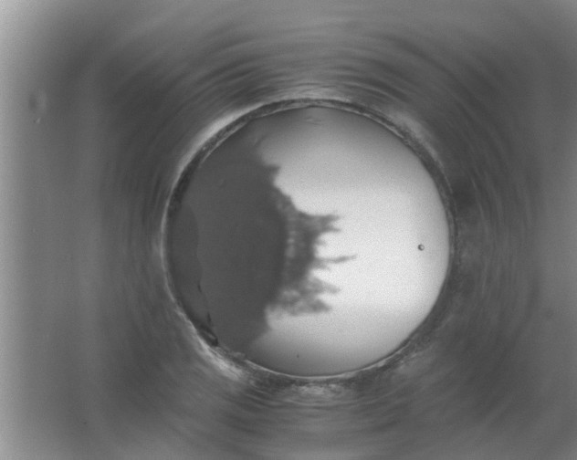 X0000063461125200602031827