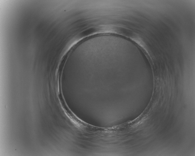 X0000063461127200602031827