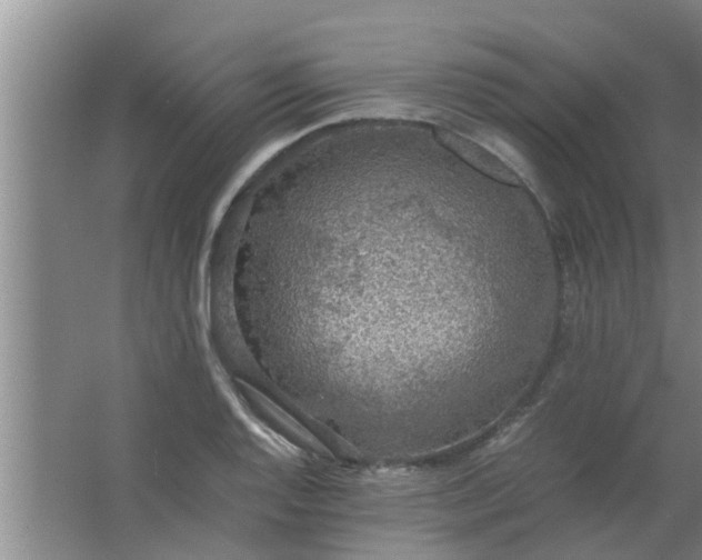 X0000063461128200602031827