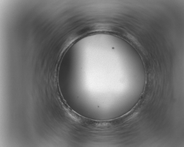 X0000063461129200602031827