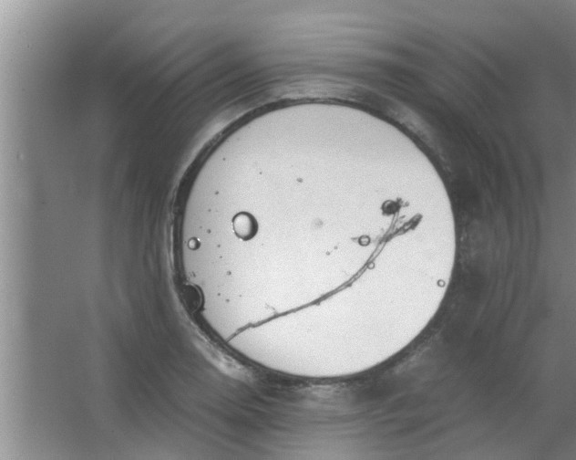 X0000063461130200602031827